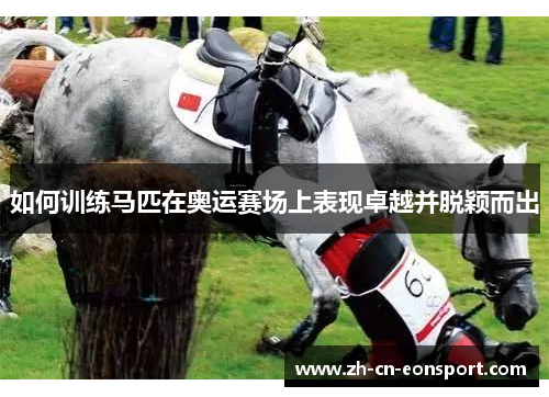 如何训练马匹在奥运赛场上表现卓越并脱颖而出